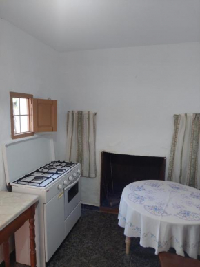 Dehesilla Olive Orchard Retreat
